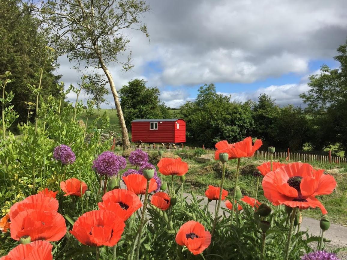 Ballyroe Accommodation Leap Bagian luar foto