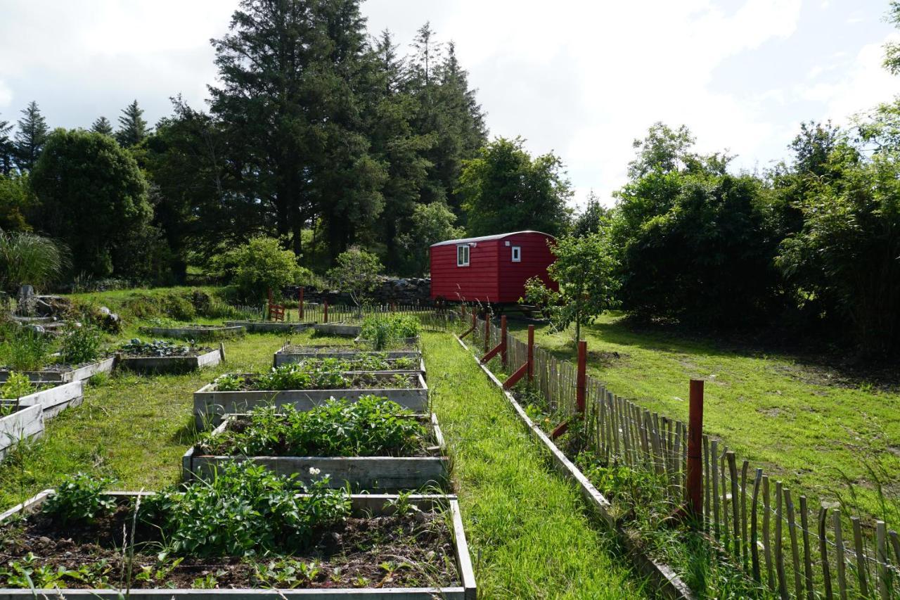 Ballyroe Accommodation Leap Bagian luar foto